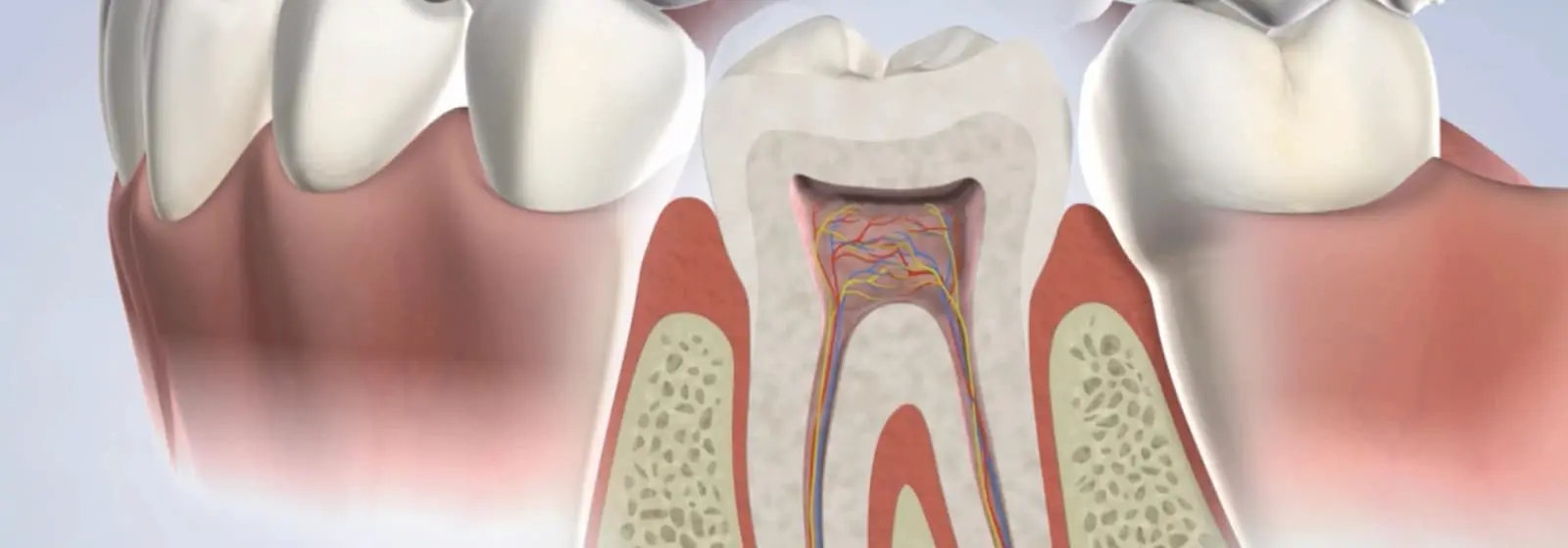 Why Root Canal Treatment Might Be Your Best Option for Saving a Tooth